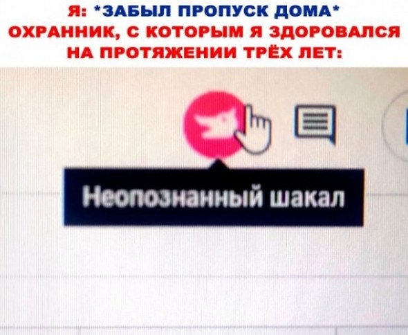 Смешные картинки с надписями