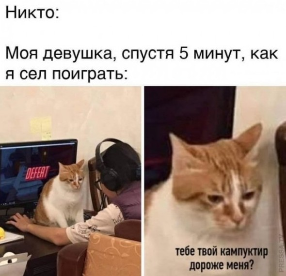 Смешные картинки с надписями