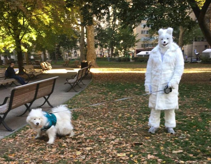 Приколы и картинки 02.11.2022 - «Прикольные картинки»