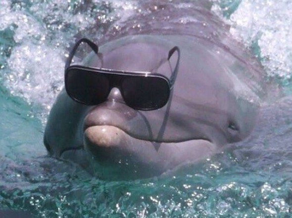 Приколы и картинки 04.11.2022 - «Прикольные картинки»