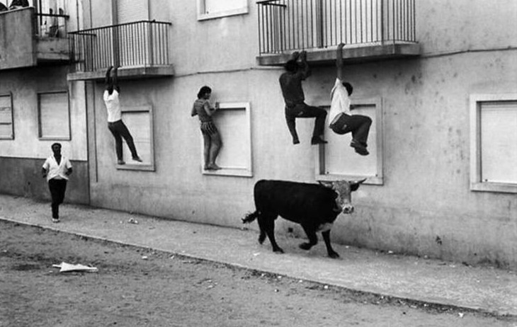 Приколы и картинки 05.12.2022 - «Прикольные картинки»