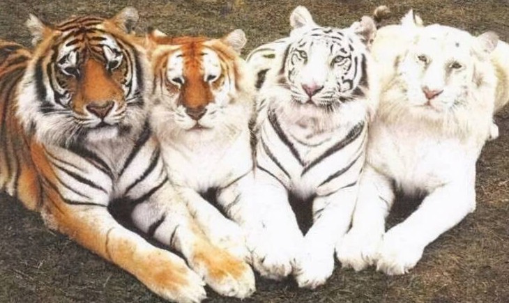 Приколы и картинки 20.12.2022 - «Прикольные картинки»