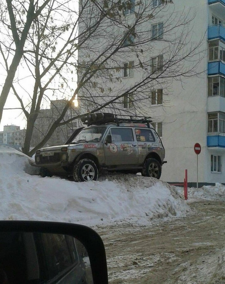Приколы и картинки 11.01.2023 - «Прикольные картинки»
