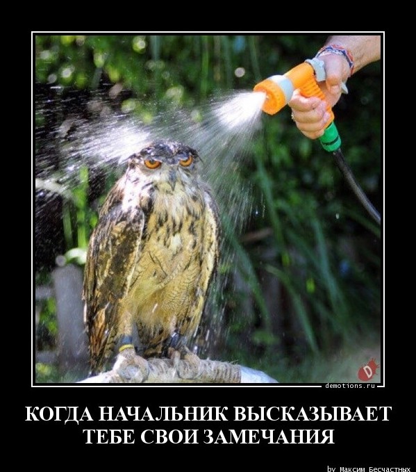 Забавные демотиваторы