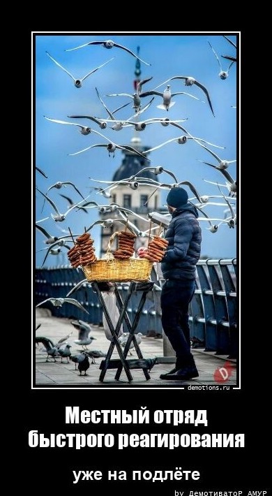 Забавные демотиваторы