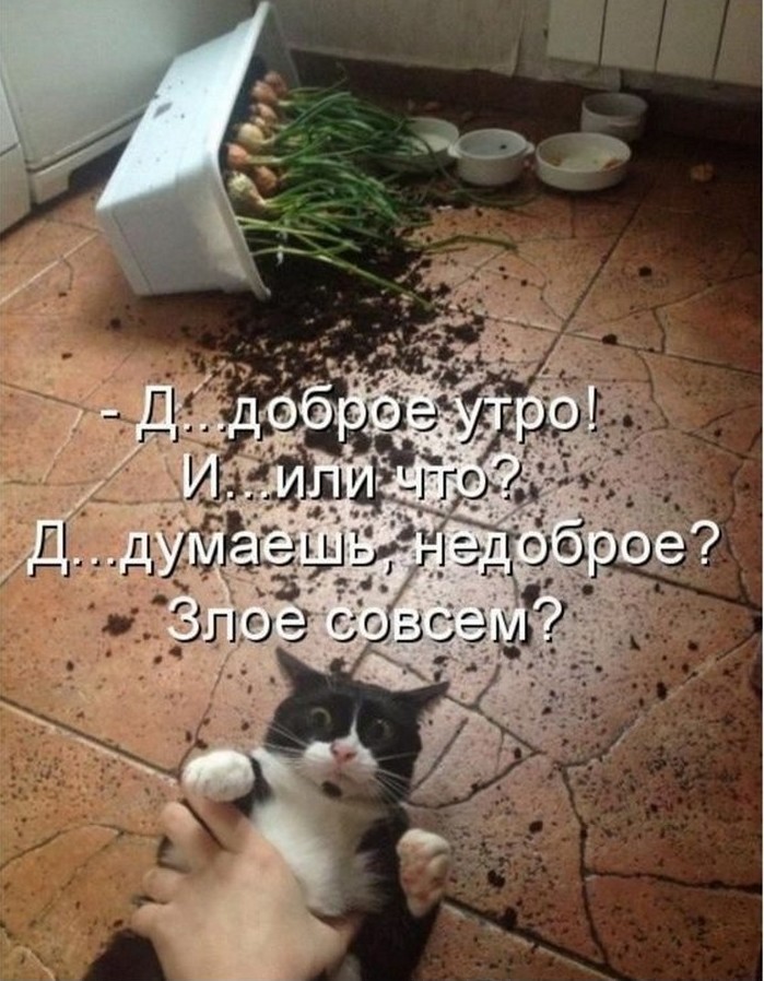 Подборка фотоприколов № 1215 - «Прикольные картинки»