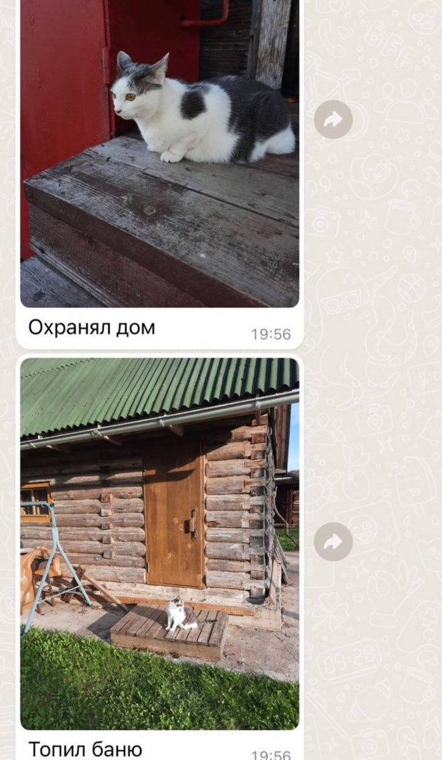 поржать