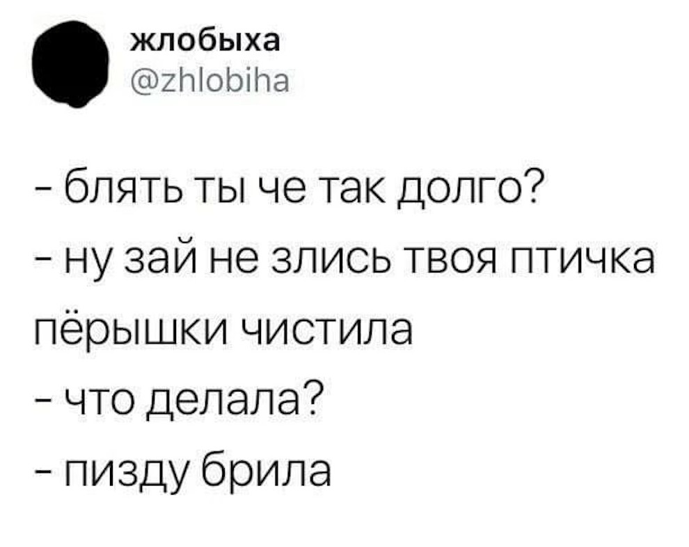 Приколы 2023 картинки с надписями смешные до слез для настроения