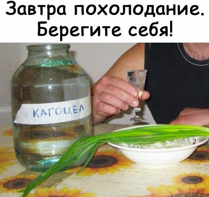 Пятничный алкоюмор 15.09.2023 - «Прикольные картинки»