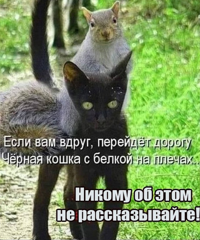 Подборка фотоприколов № 1227 - «Прикольные картинки»