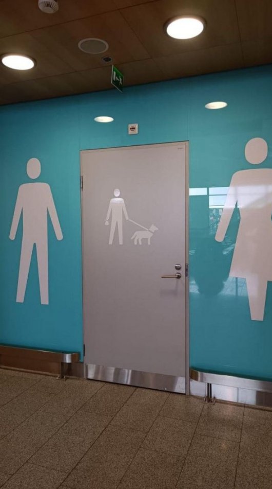 Как выглядит туалет для собак в Европе - «Прикольные картинки»