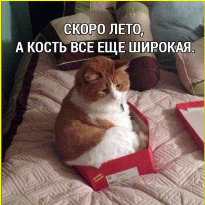 Подборка фотоприколов № 1255 - «Прикольные картинки»