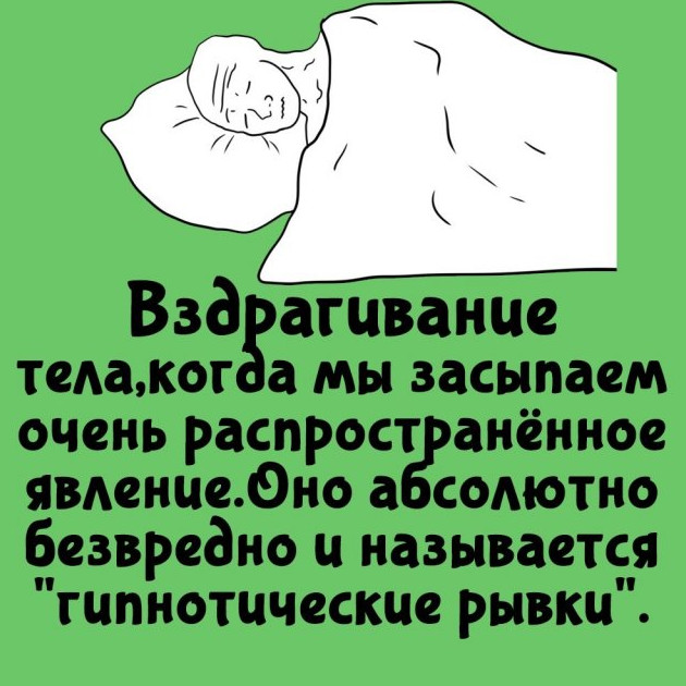 Интересные факты на все случаи жизни 08.09.2024 - «Прикольные картинки»