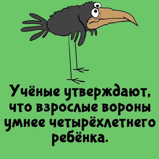 Интересные факты на все случаи жизни 05.10.2024 - «Прикольные картинки»