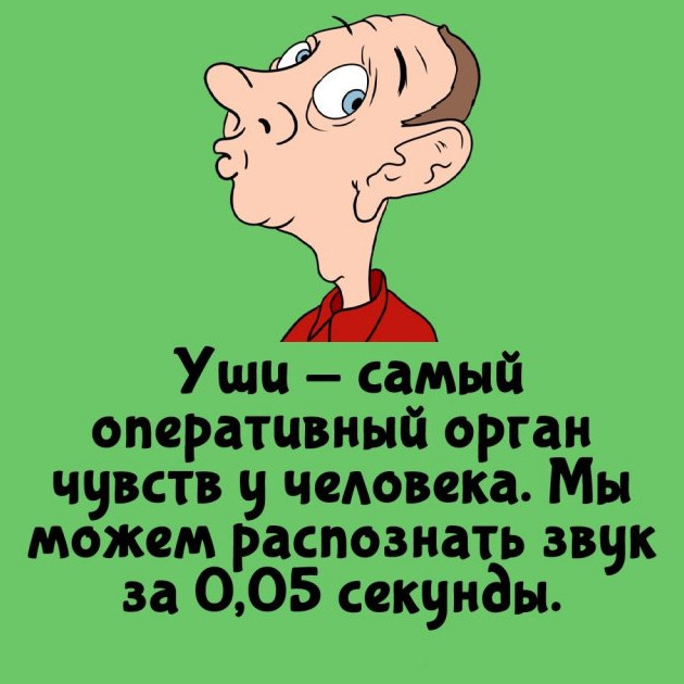 Различные факты на все случаи жизни (15 фото) - «Прикольные картинки»