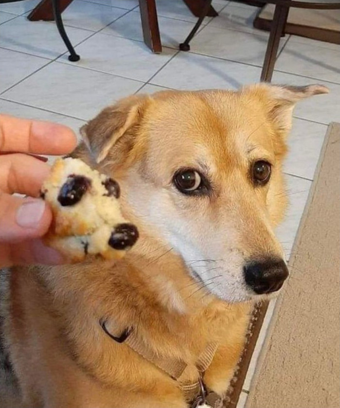 Подборка фотоподборка № 1280 - «Прикольные картинки»