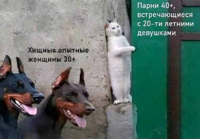Подборка фотоприколов № 1279 - «Прикольные картинки»