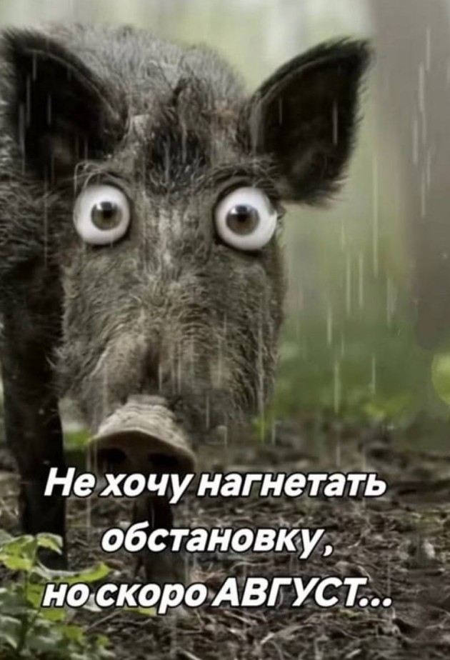 Приколы и картинки 04.07.2025 - «Прикольные картинки»