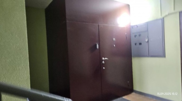 Как вам такие соседи? - «Прикольные картинки»