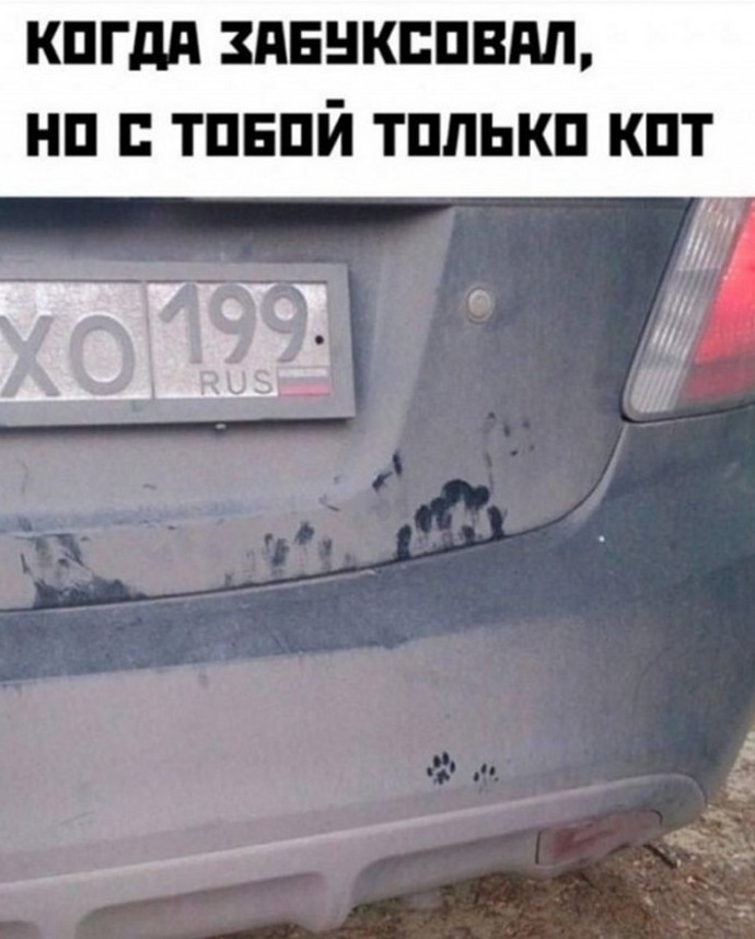 Подборка фотоприколов № 1303 - «Прикольные картинки»