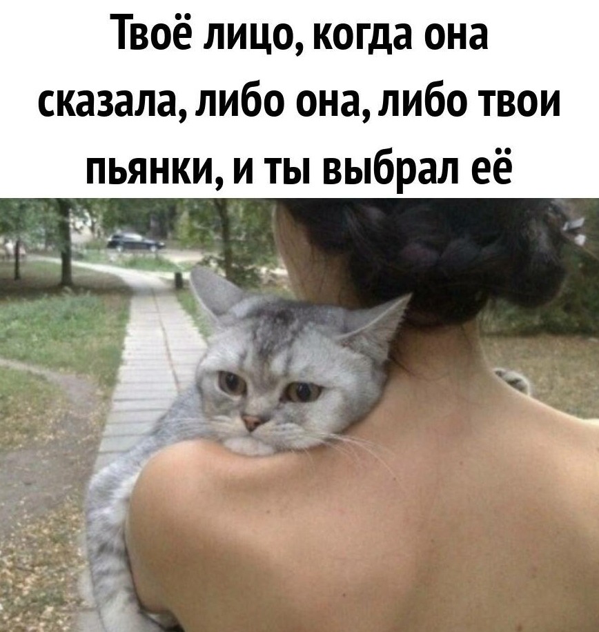 Пятничный алкоюмор 17.10.2025 - «Прикольные картинки»