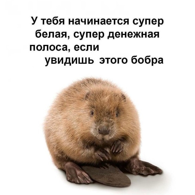 Приколы и картинки 01.10.2025 - «Прикольные картинки»