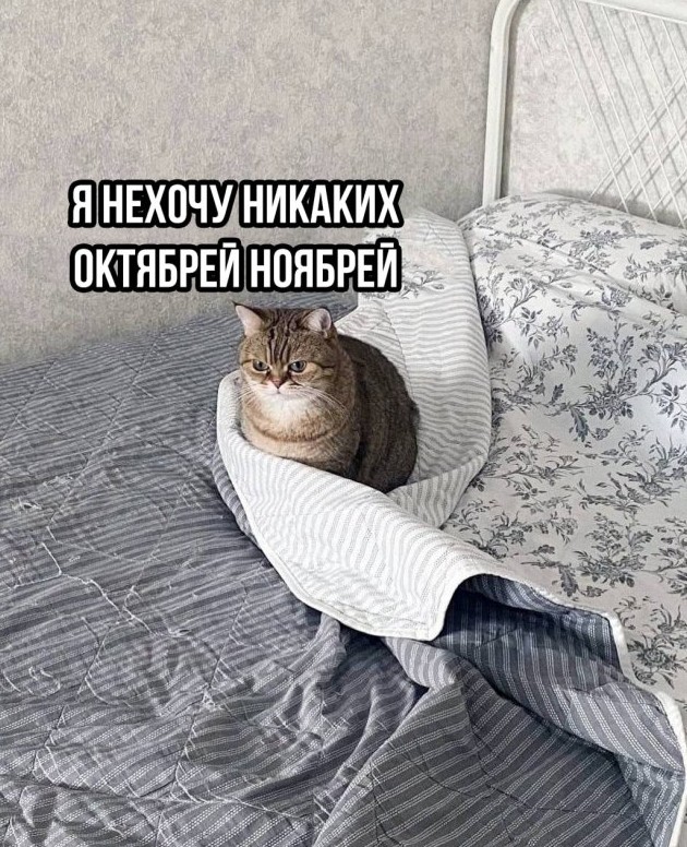 Приколы и картинки 03.10.2025 - «Прикольные картинки»