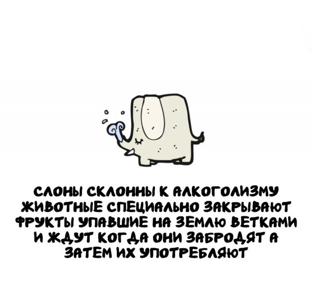 Невероятные и познавательные факты обо всем - «Прикольные картинки»