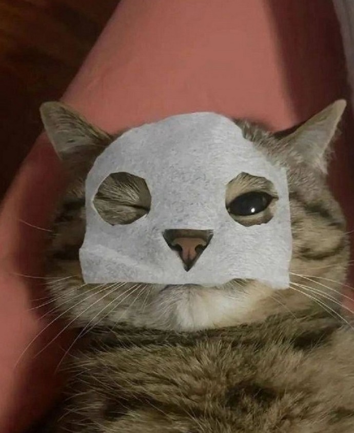 Подборка фотоприколов № 1317 - «Прикольные картинки»