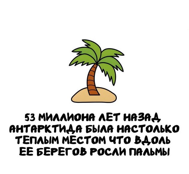 Познавательная подборка: интересные факты, о которых вы не знали - «Прикольные картинки»