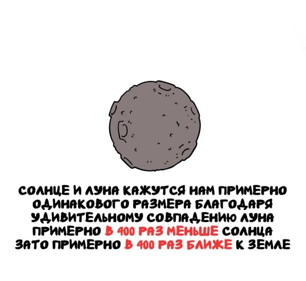 Самые интересные и удивительные факты обо всем на свете - «Прикольные картинки»