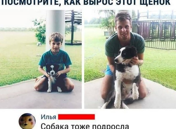 Картинки для настроения 26.02.2026 - «Прикольные картинки»