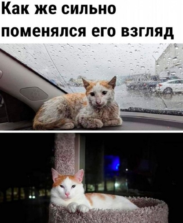 Разные картинки 27.02.2026 - «Прикольные картинки»