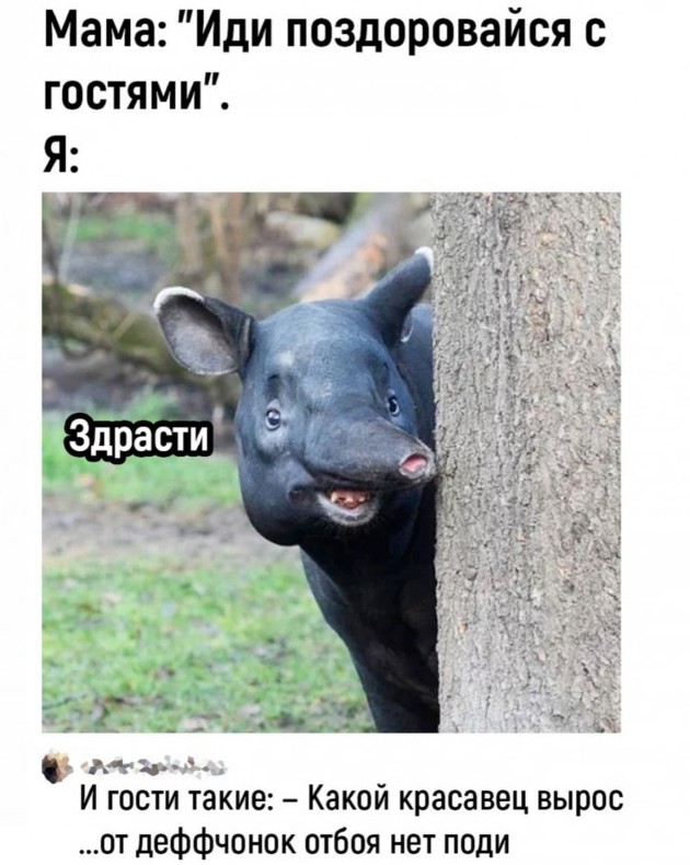 Свежие приколы и смешные картинки для отличного настроения - «Прикольные картинки»