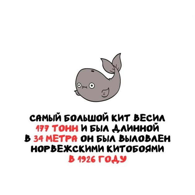 Топ самых интересных фактов, о которых вы точно не слышали - «Прикольные картинки»