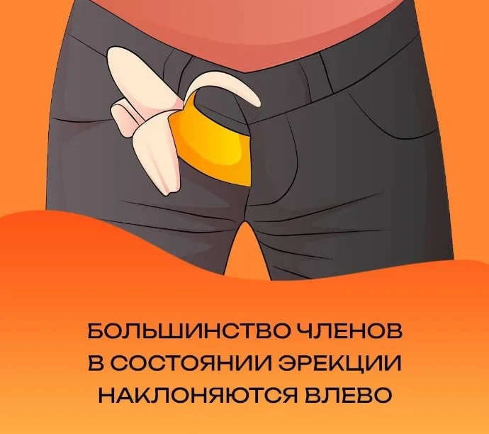 Факты для взрослых - «Прикольные картинки»