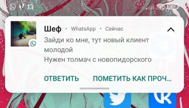 Юморок 25.03.2026 - «Прикольные картинки»