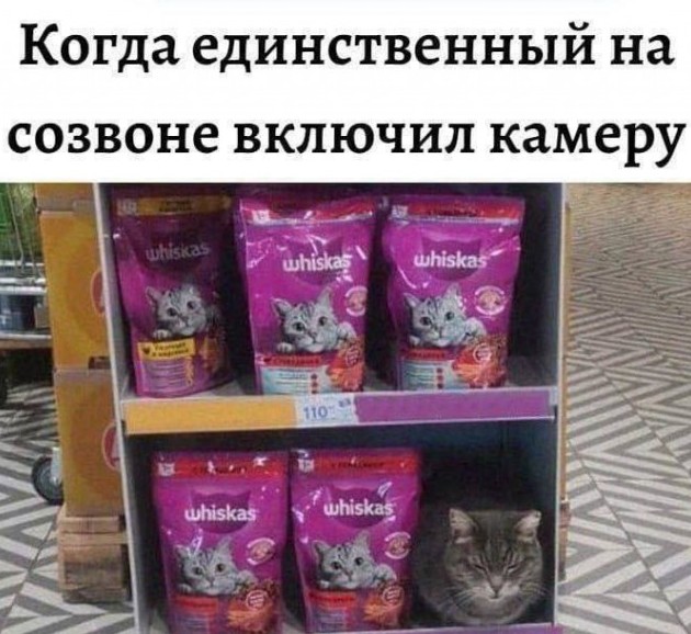 Юморок 26.03.2026 - «Прикольные картинки»