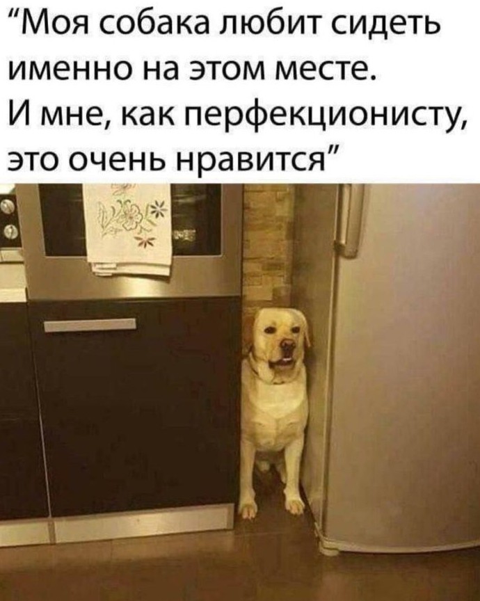 Подборка фотоприколов № 1320 - «Прикольные картинки»