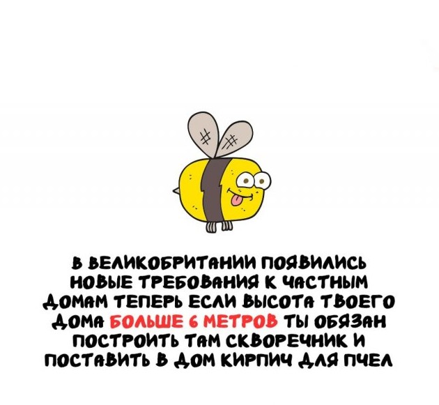 Самые невероятные и полезные факты обо всем на свете - «Прикольные картинки»