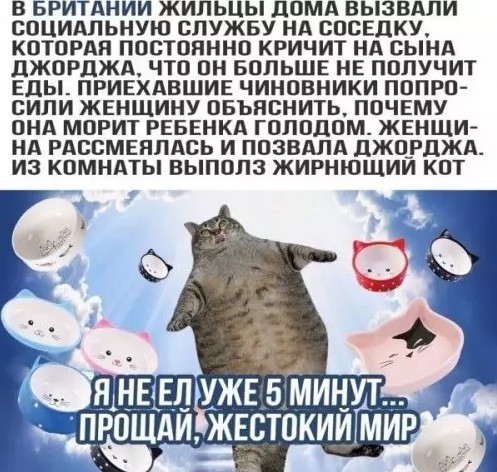 Утренние приколы 17.03.2026 - «Прикольные картинки»