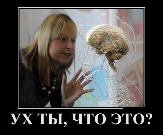 Демотиваторы на среду - «Демотиваторы»