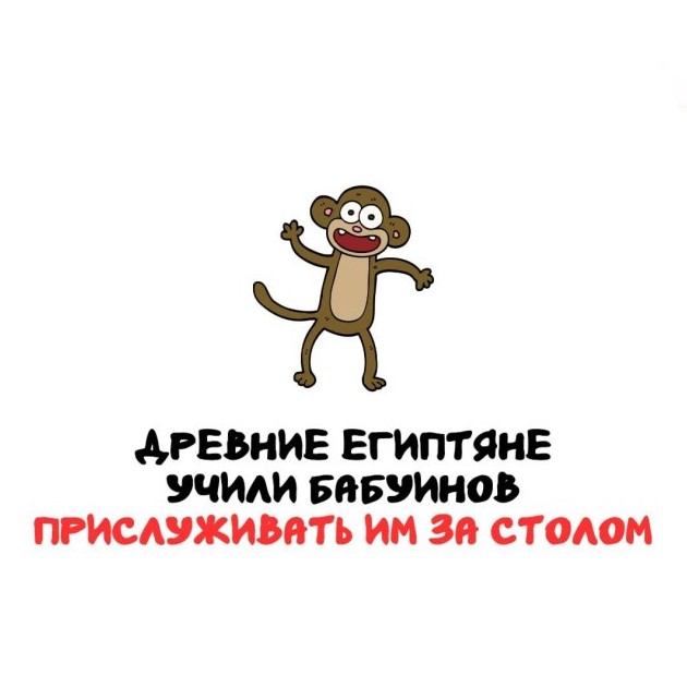 Интересные факты на все случаи жизни 02.04.2026 - «Прикольные картинки»