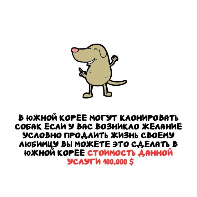 Интересные факты на все случаи жизни 11.04.2026 - «Прикольные картинки»