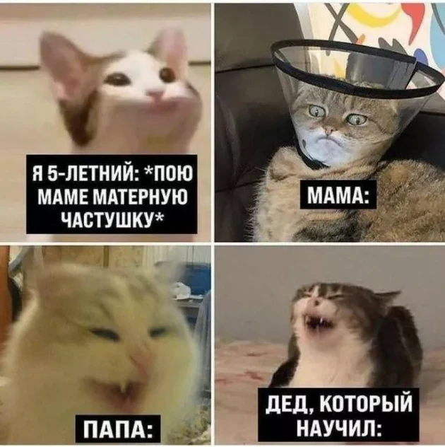 Юморок 23.04.2026 - «Прикольные картинки»