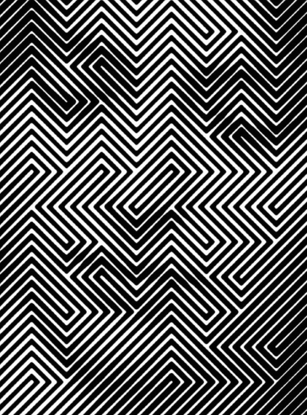 Новая вирусная оптическая иллюзия с двойным смыслом проверяет внимательность пользователей - «Прикольные картинки»