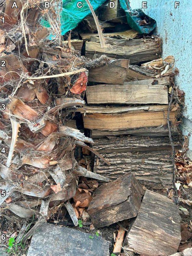 Тест на внимательность - «Прикольные картинки»