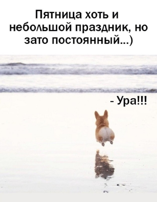 Веселые картинки на ночь глядя 03.04.2026 - «Прикольные картинки»