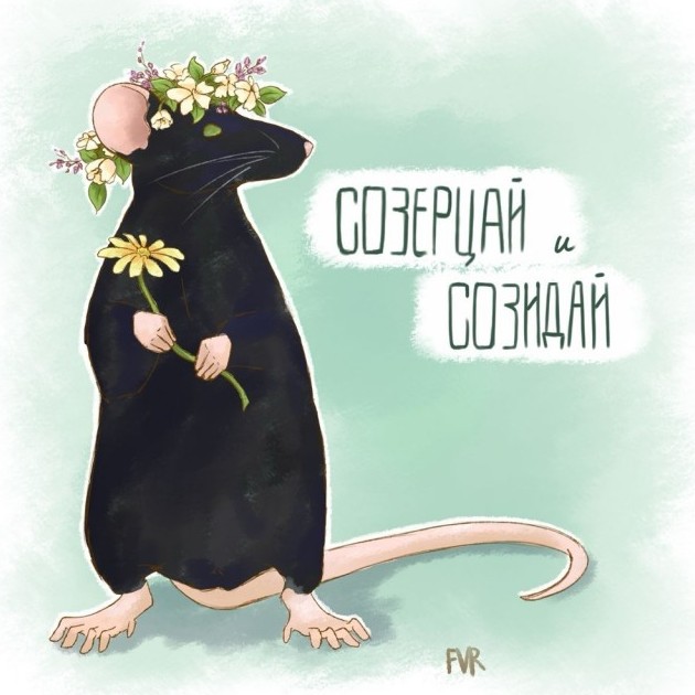 Воскресный юмор 05.04.2026 - «Прикольные картинки»