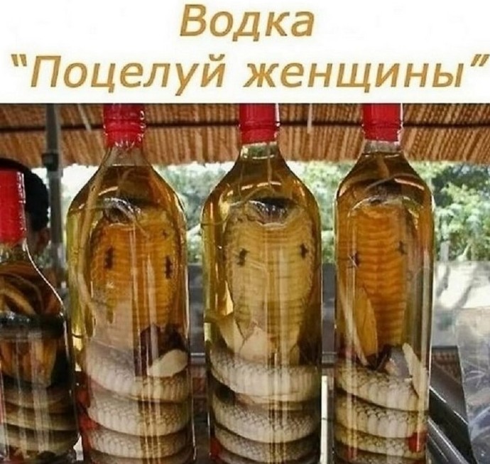 Подборка фотоприколов № 1335 - «Прикольные картинки»
